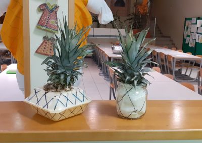 Samopostrežna malica – sadež meseca: ananas
