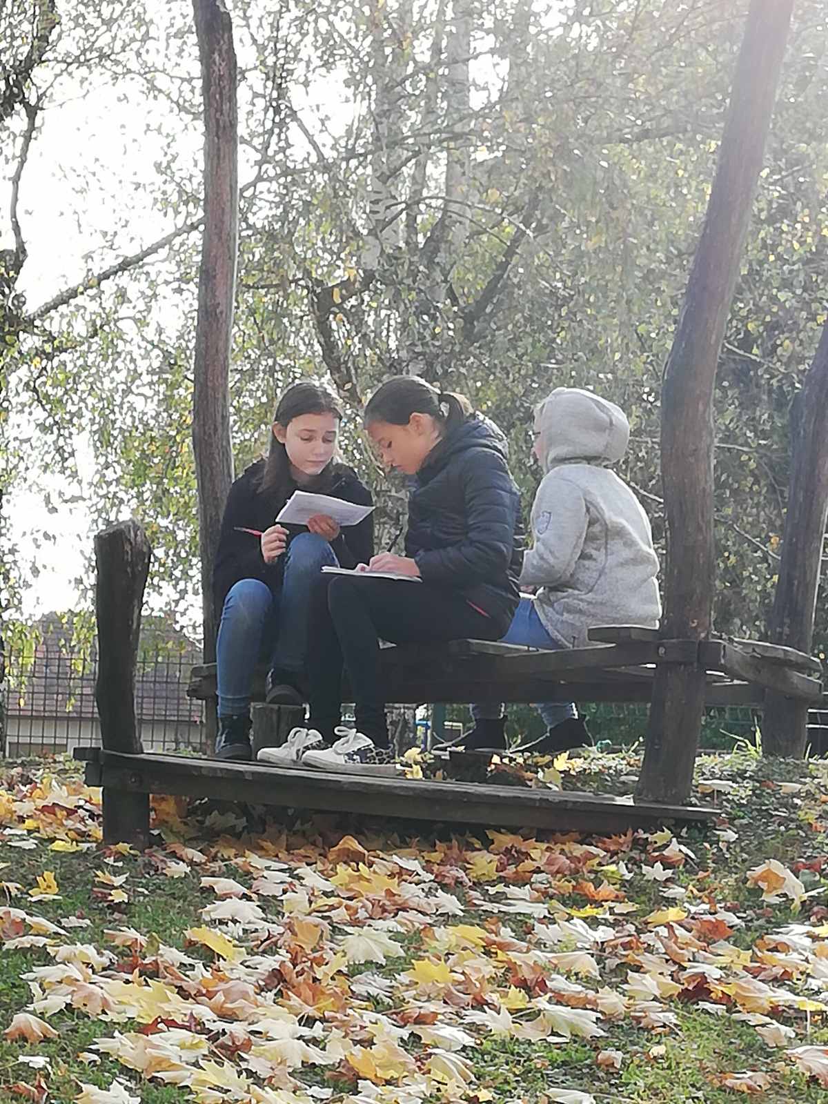 NEOKRNJENO IN ZELENO PREKMURJE V CŠOD Murska Sobota