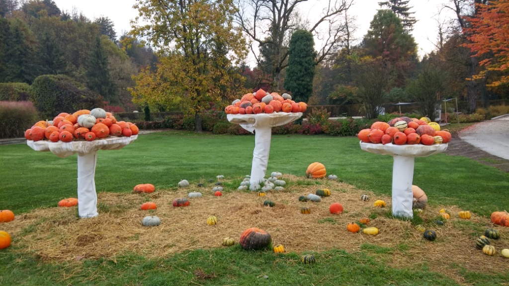 DRUGOŠOLCI V ARBORETUMU VOLČJI POTOK