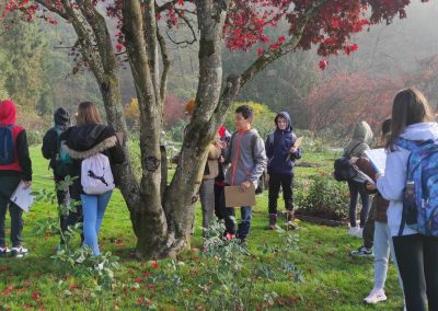 Šestošolci v Arboretumu Volčji Potok