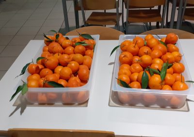 Samopostrežna malica – mandarine