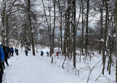 Planinski izlet na Planino nad Vrhniko