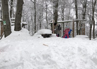 Planinski izlet na Planino nad Vrhniko