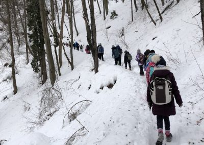 Planinski izlet na Planino nad Vrhniko