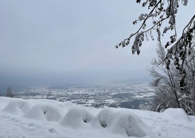 Planinski izlet na Planino nad Vrhniko