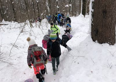 Planinski izlet na Planino nad Vrhniko