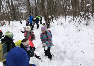 Planinski izlet na Planino nad Vrhniko