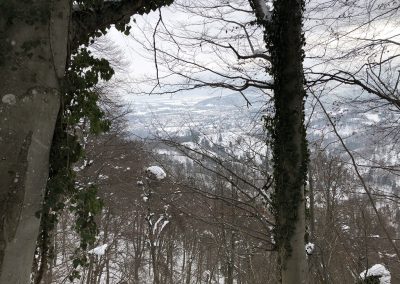 Planinski izlet na Planino nad Vrhniko