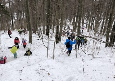 Planinski izlet na Planino nad Vrhniko