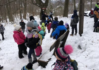 Planinski izlet na Planino nad Vrhniko