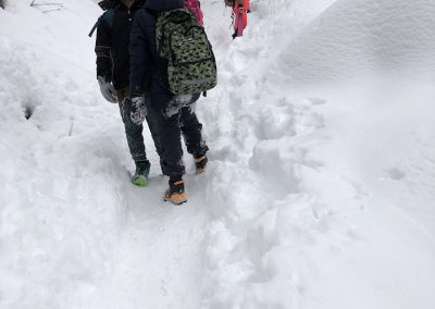 Planinski izlet na Planino nad Vrhniko