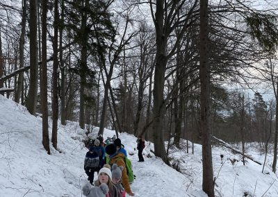 Planinski izlet na Planino nad Vrhniko