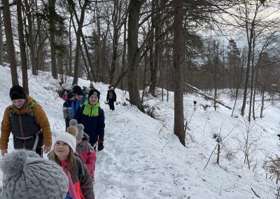 Planinski izlet na Planino nad Vrhniko