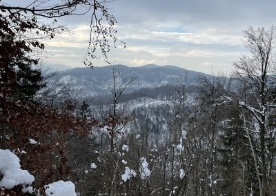 Planinski izlet na Planino nad Vrhniko