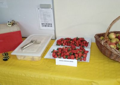 45. državno tekmovanje mladih čebelarjev