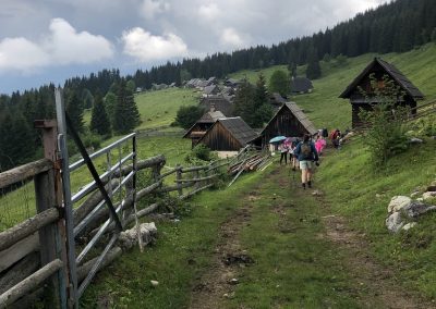 Zaključni izlet na planino Zajamniki