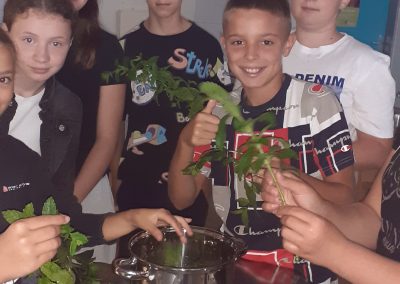 Izkustveno učenje pri pouku gospodinjstva