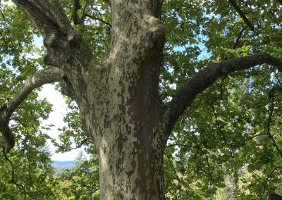 Šestošolci v Arboretumu Volčji Potok