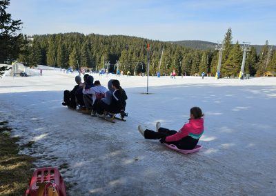 Sprehod med krošnjami in sankanje – zimski športni dan v 8. in 9. razredu