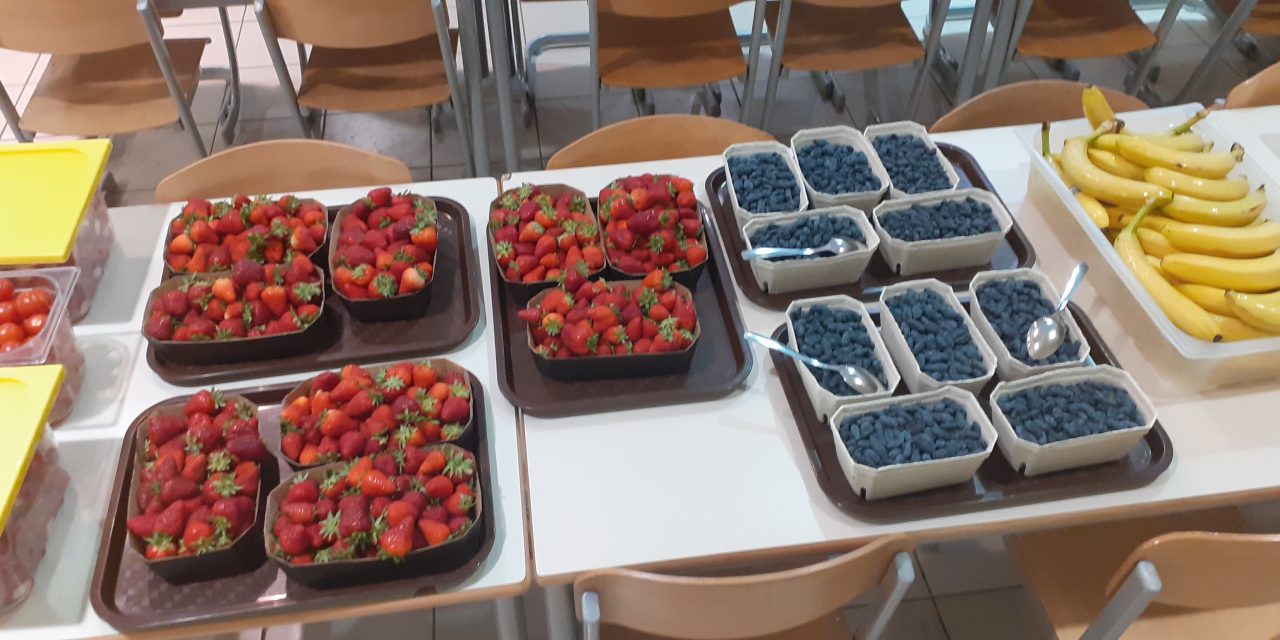 Samopostrežna malica meseca maja