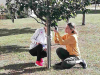 img-261d3cbecc4fecca376c0b0092571656-v
