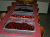 malica-011