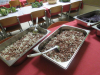 samopostrezna-malica-kapustnice-006