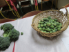 samopostrezna-malica-kapustnice-009