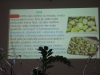 malica-strocnice0017