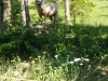 20170527_091417